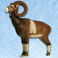 MOUFLON ()